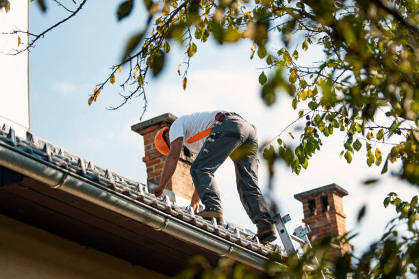 Best Roof Repair Services  in Captain Cook, HI