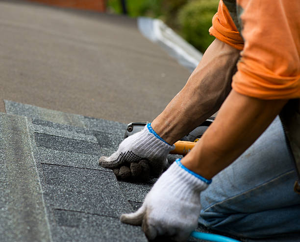 Quick and Trustworthy Emergency Roof Repair Services in Captain Cook, HI